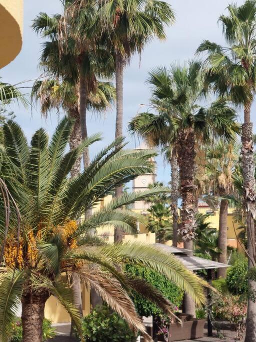 Apartmán Atlantic Garden - Casa Helena Corralejo Exteriér fotografie